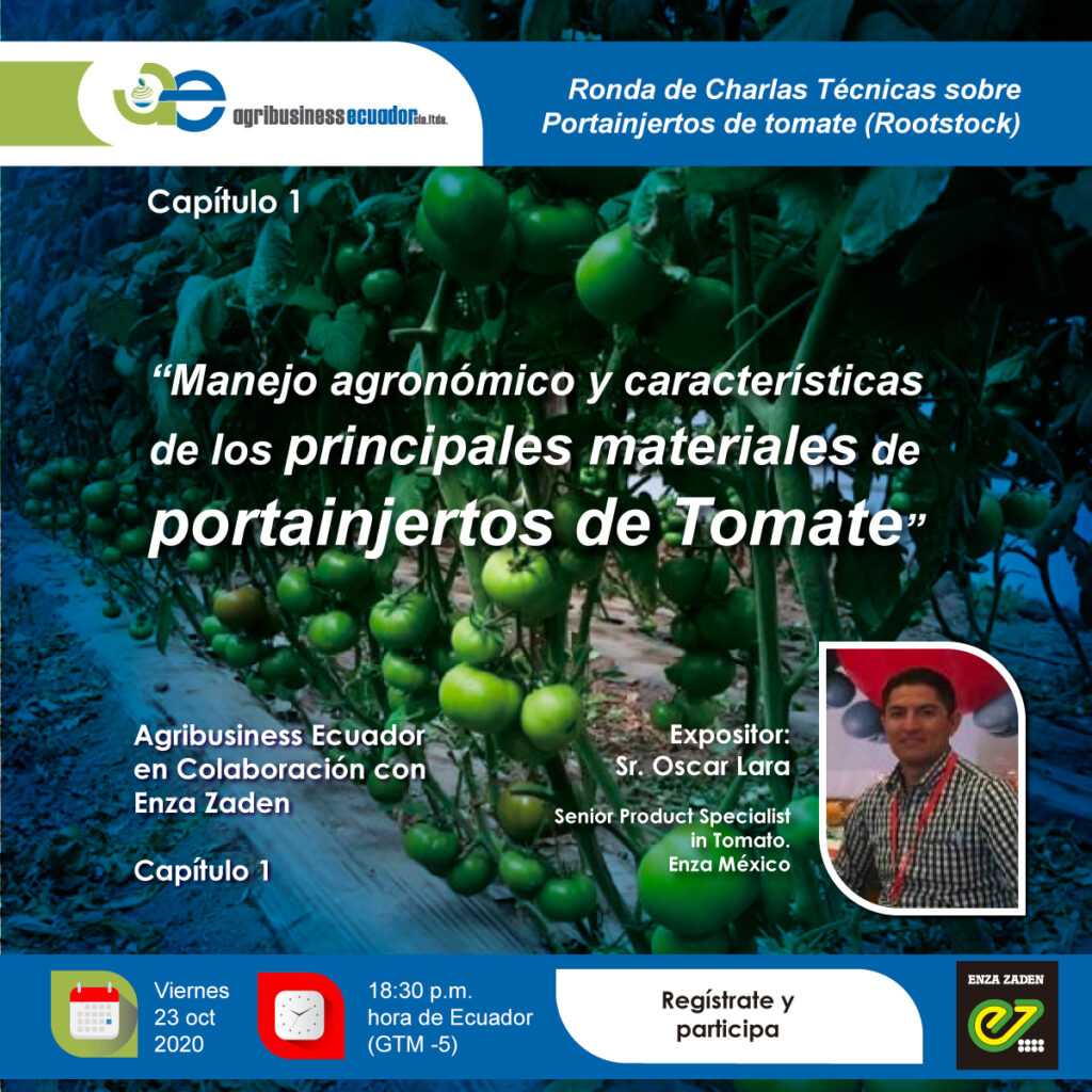 Manejo agronómico y características de los principales materiales de portainjertos de Tomate