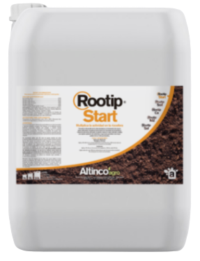 rootip-start