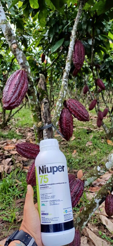 El Fósforo como Creador de Estructuras Radiculares y Foliares: Clave para el  Desarrollo de Cultivos Sanos y Productivos