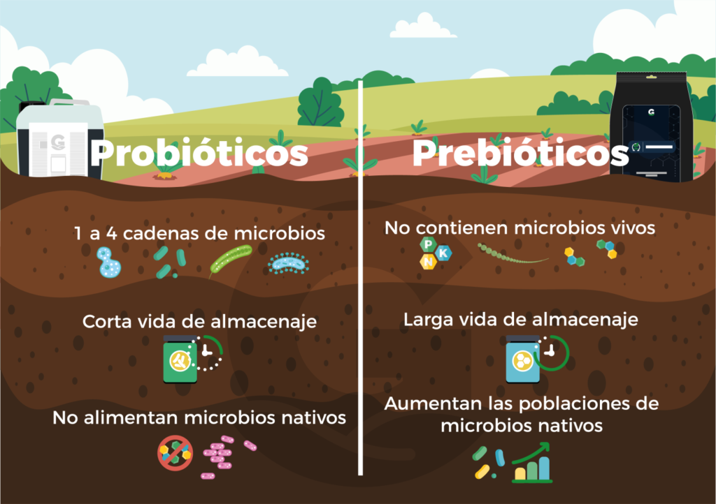 Importancia de los Prebióticos para el Suelo